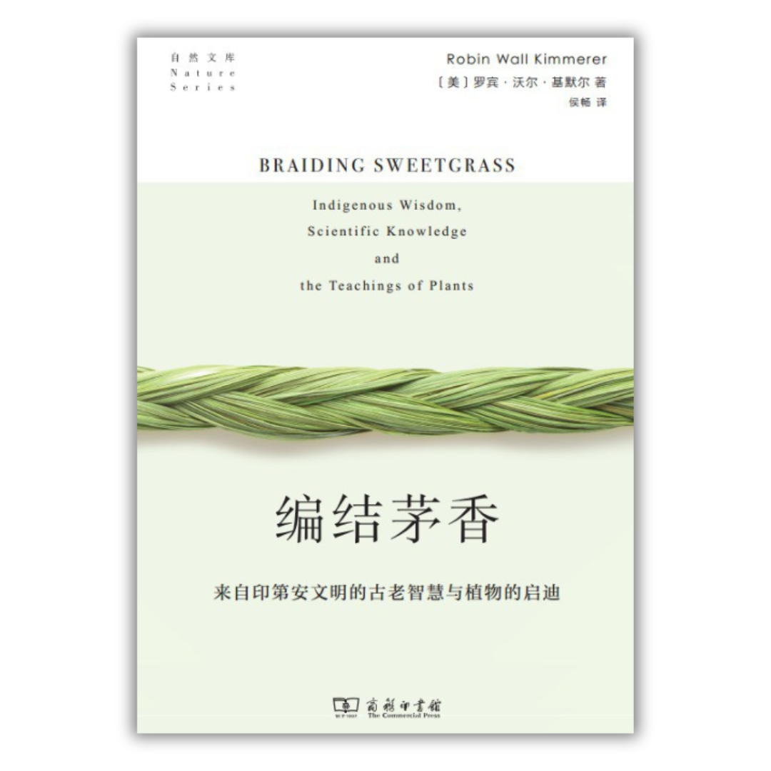 编结茅香：来自印第安文明的古老智慧与植物的启迪