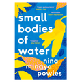 Small Bodies of Water